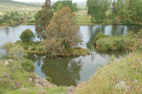 El Guadiana bajo el muro
