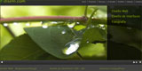 Diseño Web. Proyecto diseni.com